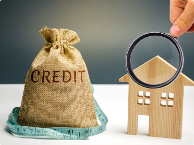 Property Insurance Credit Score