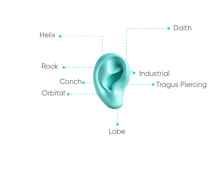 8 Popular Kinds of Ear Piercings