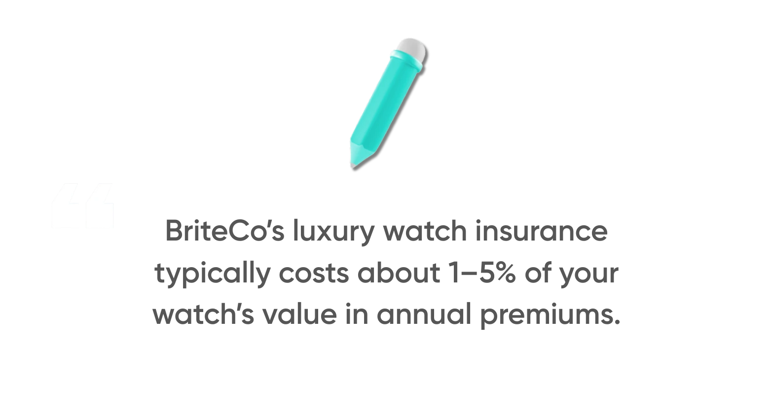 Insure an Audemars Piguet Watch