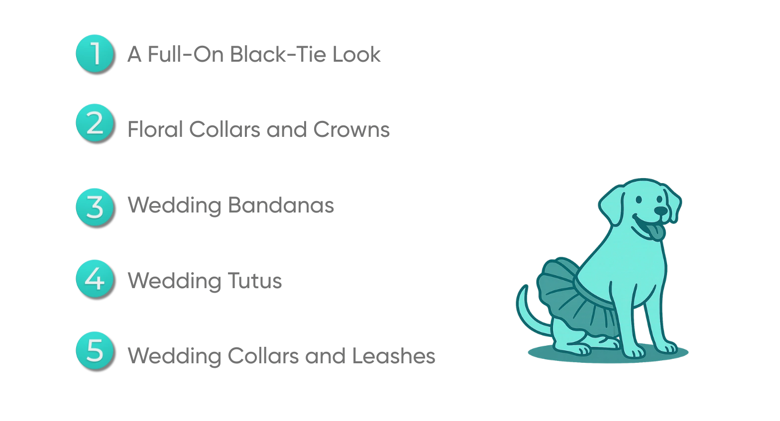 Cute Wedding Outfits for Your Pets