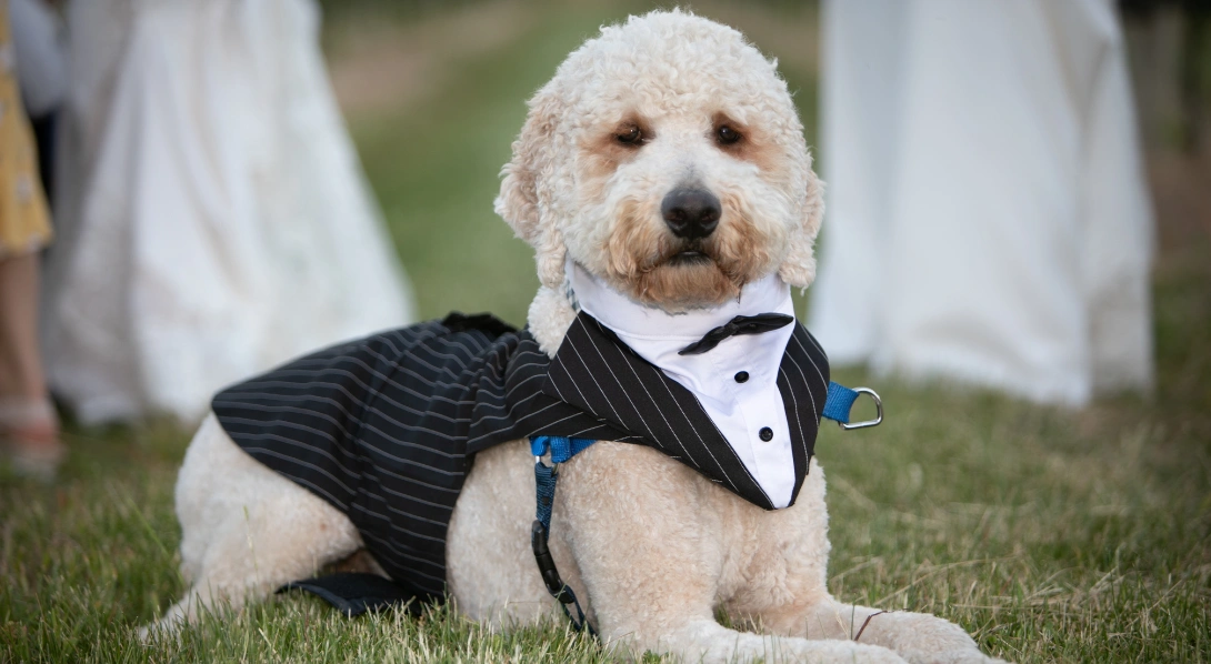 A Full-On Black-Tie Look