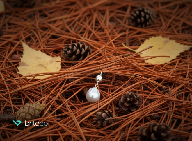 How to Find a Lost Earring & Prevent It from Happening