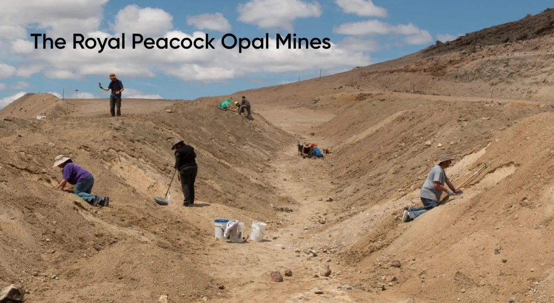 The Royal Peacock Opal Mines